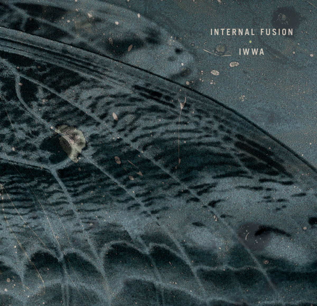 Internal Fusion – IWWA